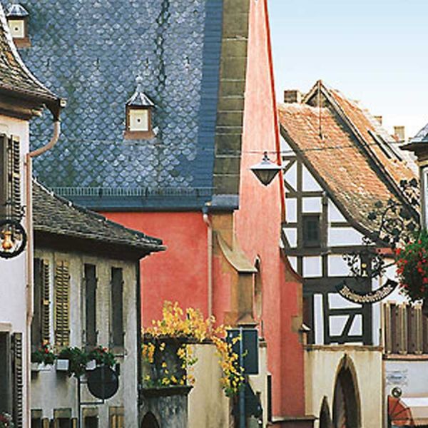 Incentive trip to the Pfalz region / Germany